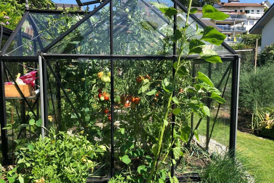 Greenhouses can extend your growing season