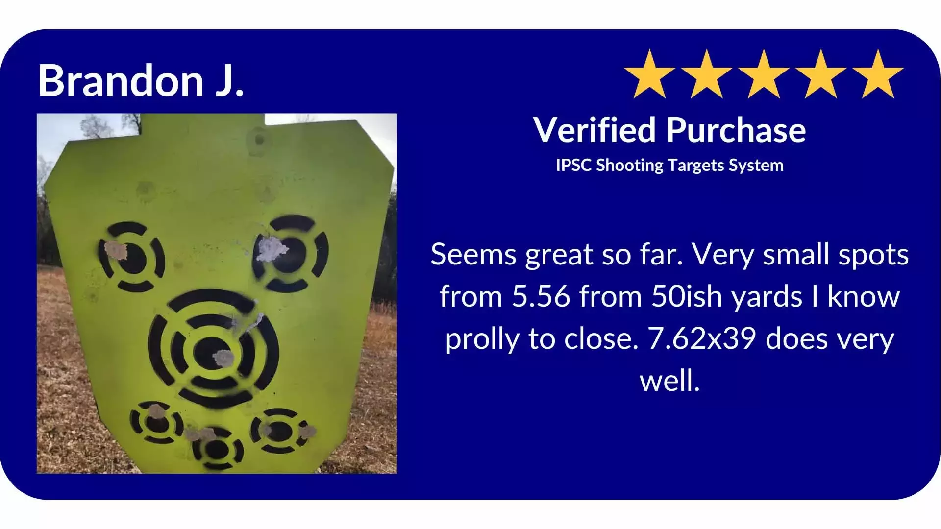 IPSC target system