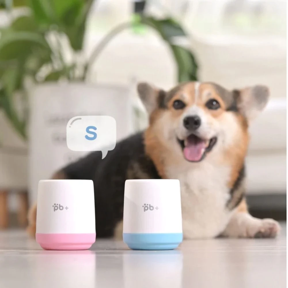A Corgi dog sitting behind two paw cleaning cups