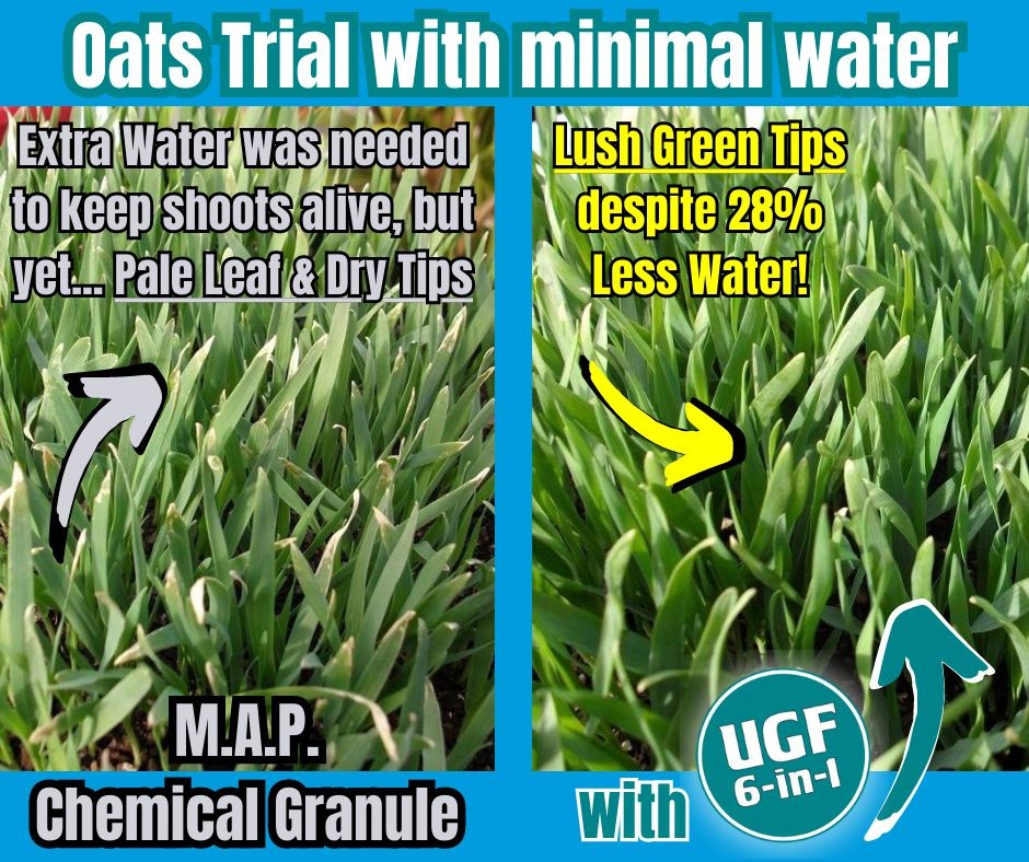 UGF6in1 Oats Trial with Minimal Water