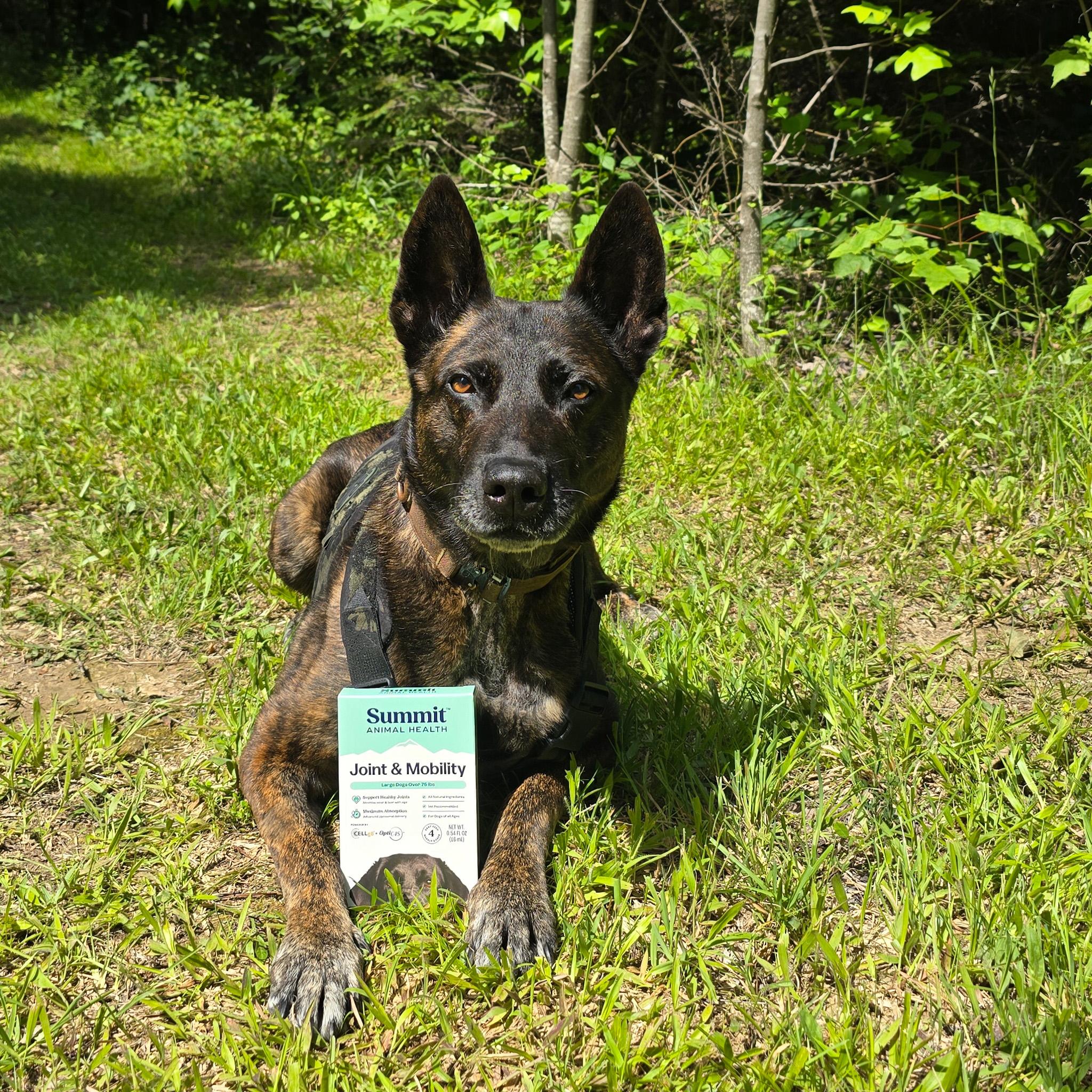 rikki with summit animal health