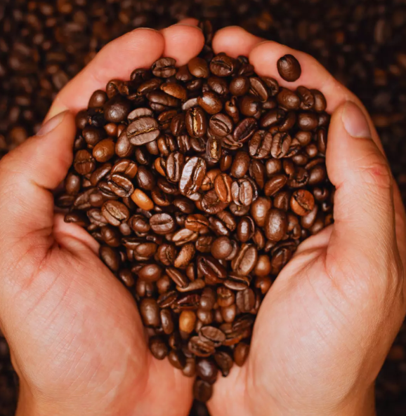 COFFEE PLANTS