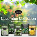 Cucumber Seed Collection - 5 heirloom cucumbers