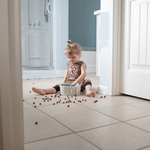 How to Dog Proof Cat Feeder Door Buddy