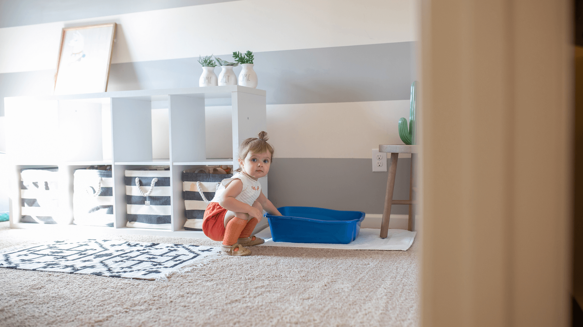 how to keep baby out of litter box - cover image