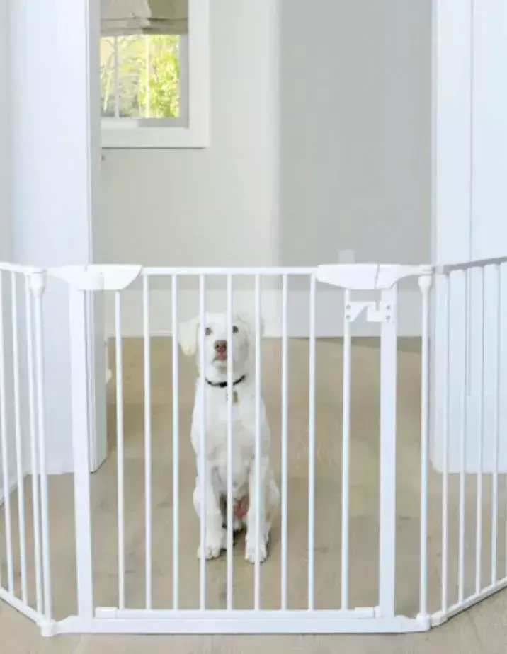 pet gate
