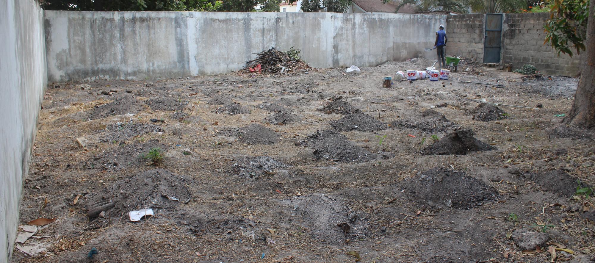Our community garden on the 1st week was a tip