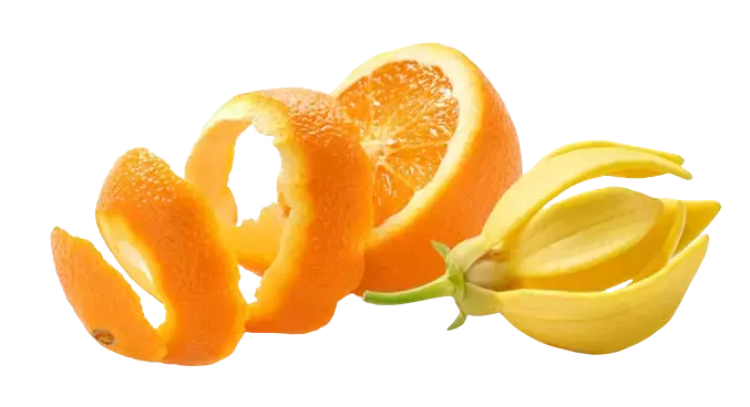 This is Vanilla and Frankincense