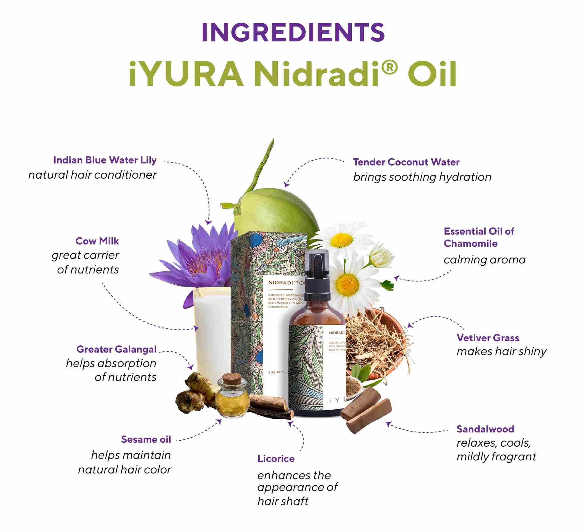 Nidradi Oil surrounded by ALL its ingredients and their benefit text that reads: Tender Coconut Water – soothing hydration Indian Blue Water Lily – natural hair conditioner Vetiver Grass – makes hair shiny Licorice – enhances hair quality Sandalwood – relaxes, cools, mildly fragrant Sesame Oil – helps maintain natural hair colour Cow Milk – strengthens hair Greater Galangal – helps absorption of nutrients Essential Oil of Chamomile – calming aroma
