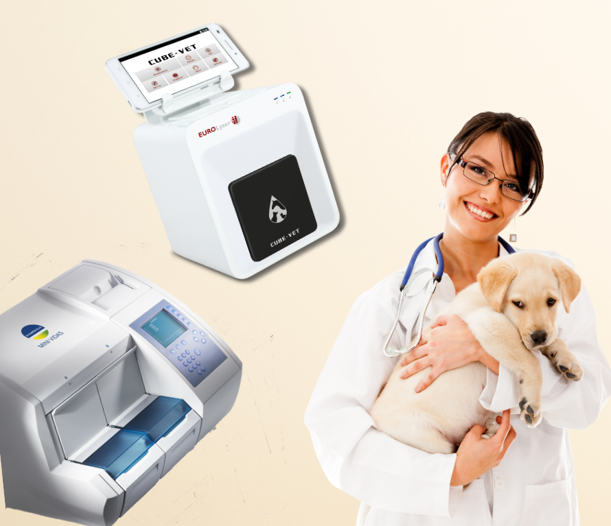 best progesterone machine for dogs