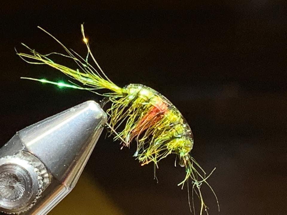 Fly Fishing with Scuds – Togens Fly Shop