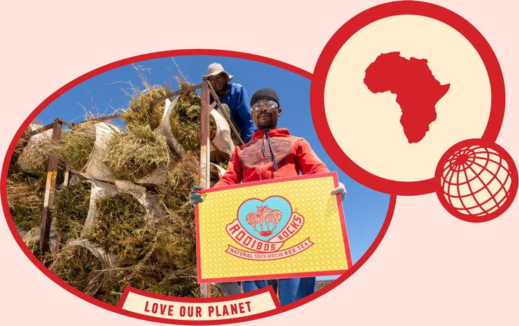 rooibos rocks love our planet nature