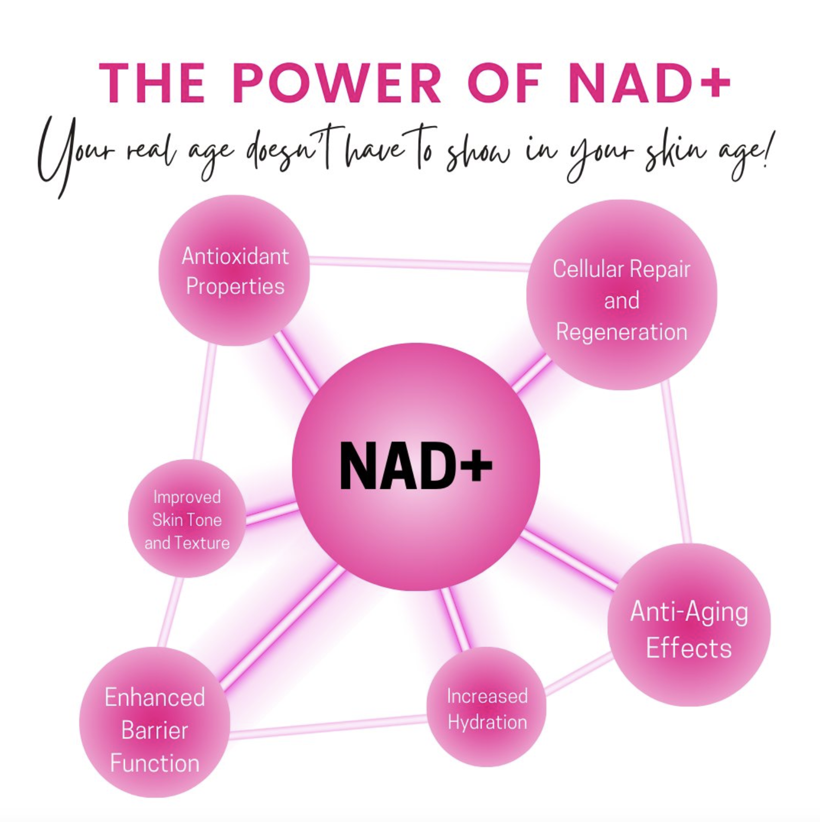 Why We Included NAD+ in Our Fountain of Firm Cream