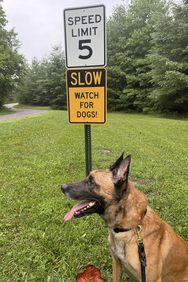 k9 krank at project k9 hero