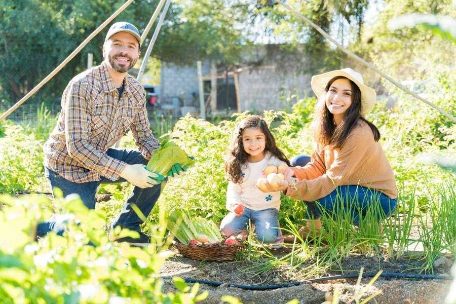 Provide for your family with a survival garden