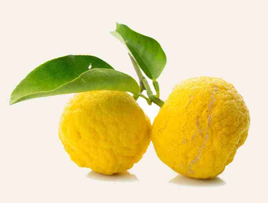 Beautiful and bright wild lemons - key ingredient of Manjish Glow Elixir