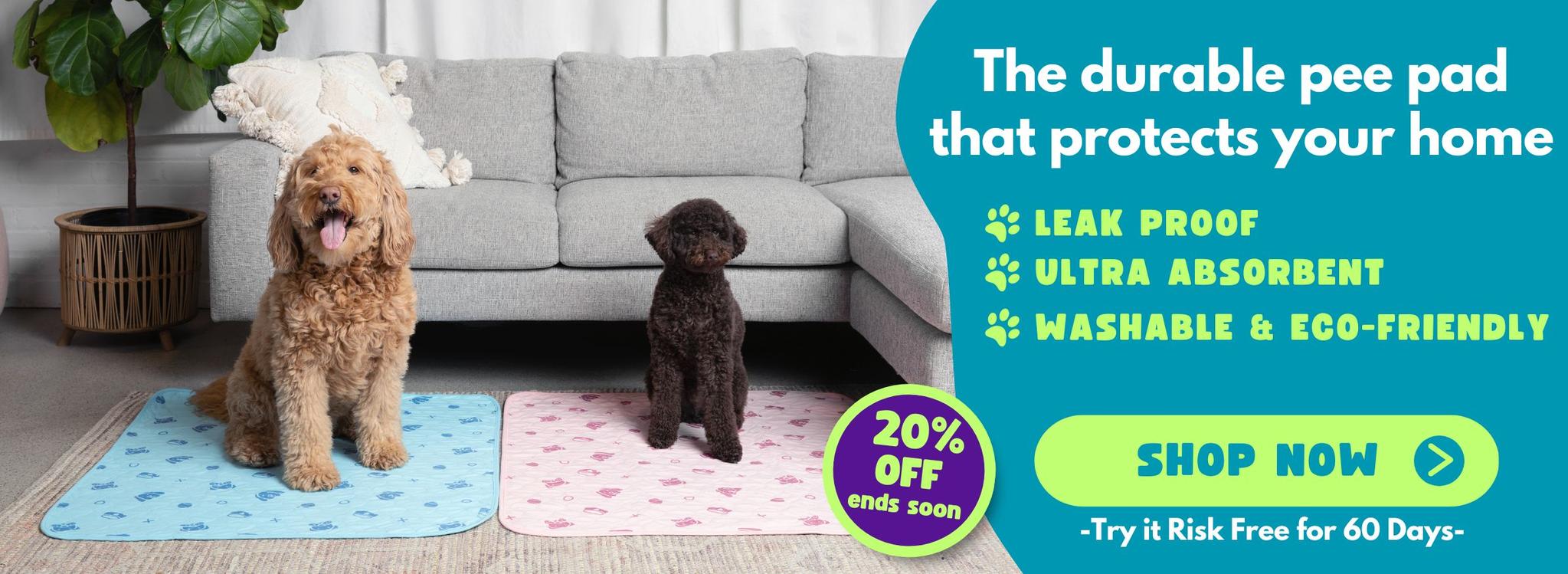 How to Train Your Puppy to Use a Puppy Pee Pad - Potty Buddy - Potty Buddy™ - Dog Potty Training Leash Training