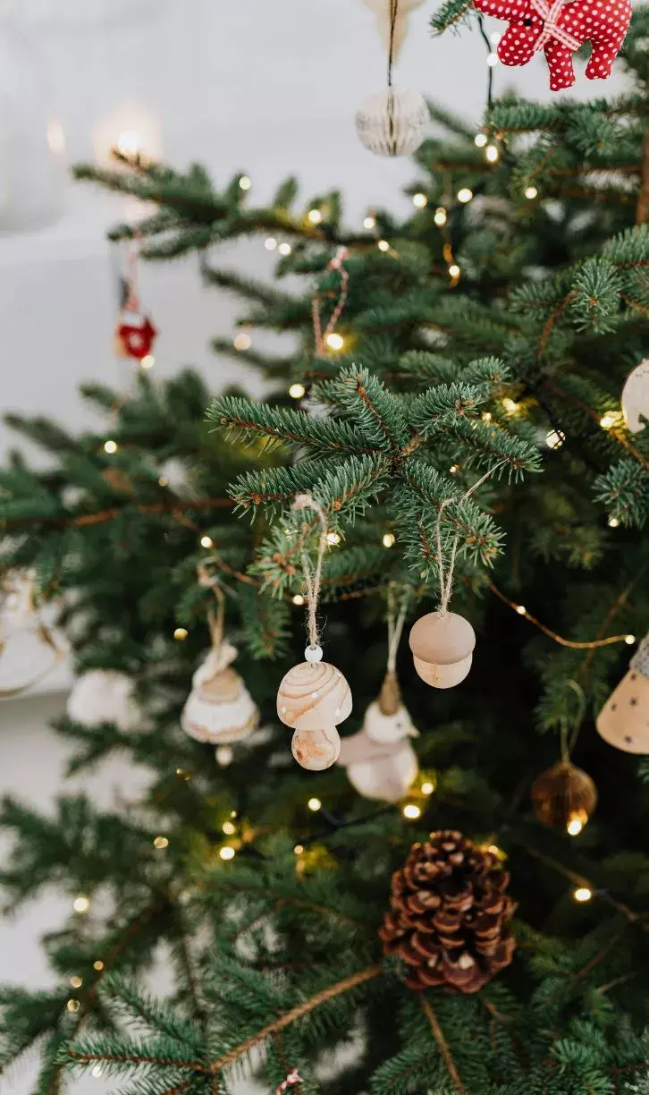 christmas decorations and pets