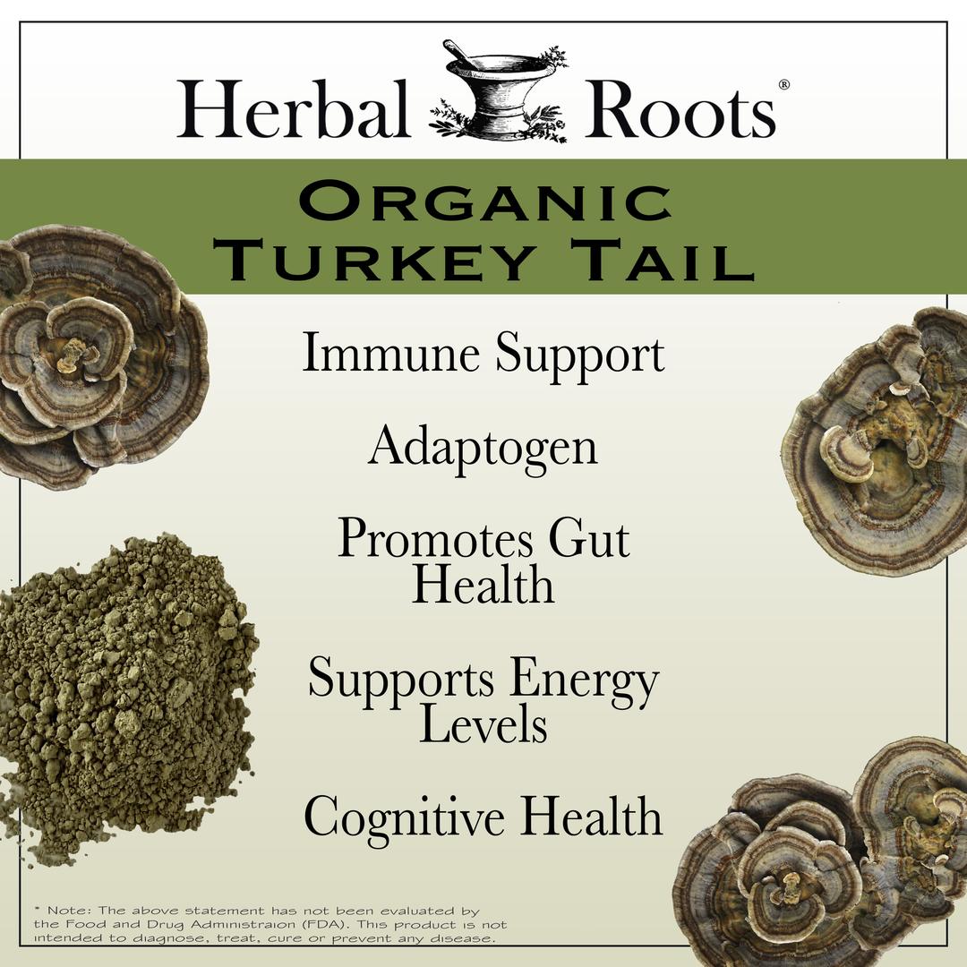 4 turkey tail mushrooms and a pile of powder with benefits listed. Immune supports, adaptogen, promotes gut health, supports energy levels, cognitive health.