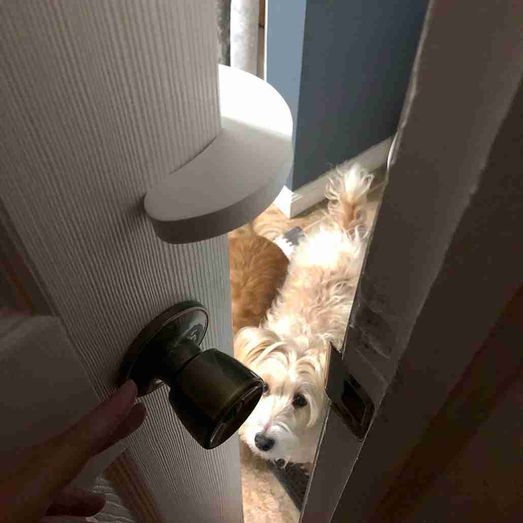 Door Buddy Reviews Customer Stories