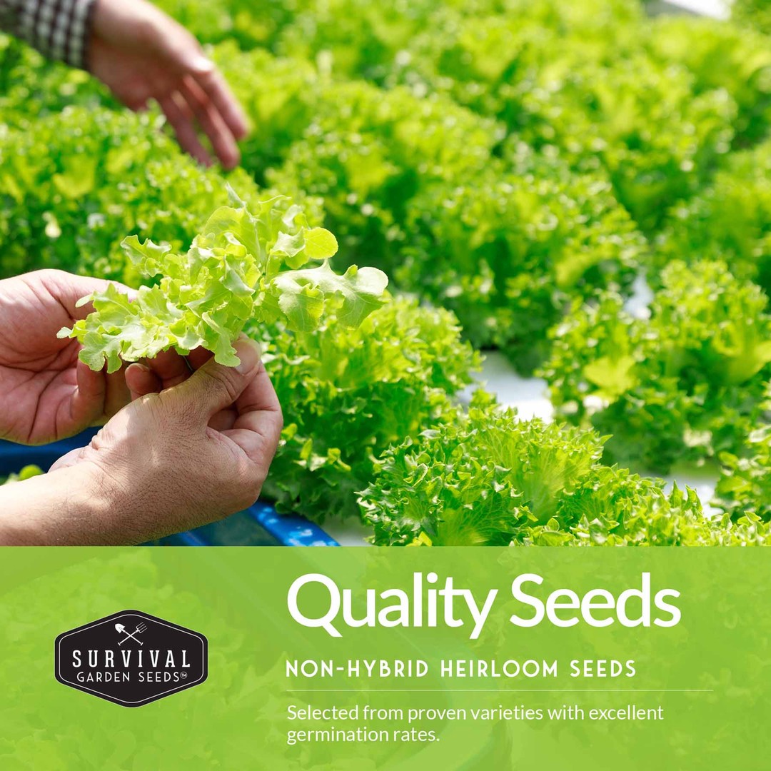 Quality cool weather vegetable seeds