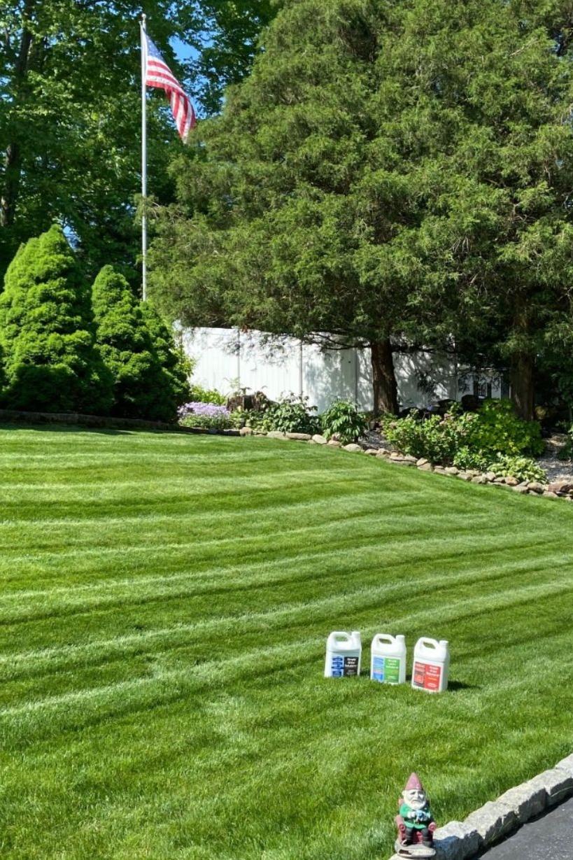 Simple Lawn Solutions Liquid Fertilizer For Lawn and Garden