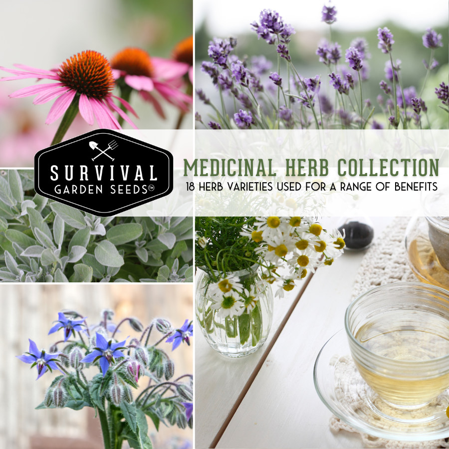 Medicinal Herb Seed Collection - 18 Medicinal Herb and Flower Seeds