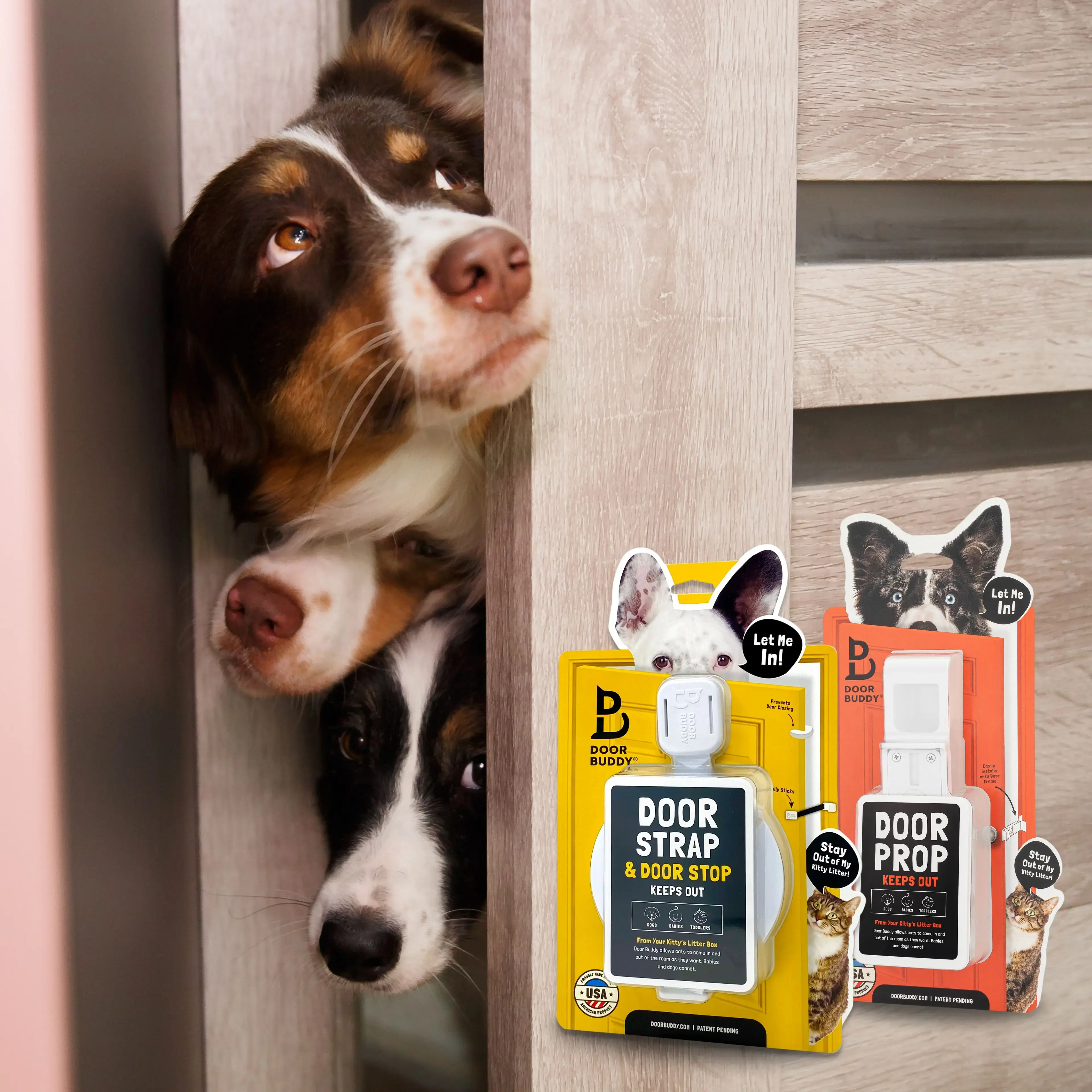 3 dogs cant come inside a room because of Door Buddy