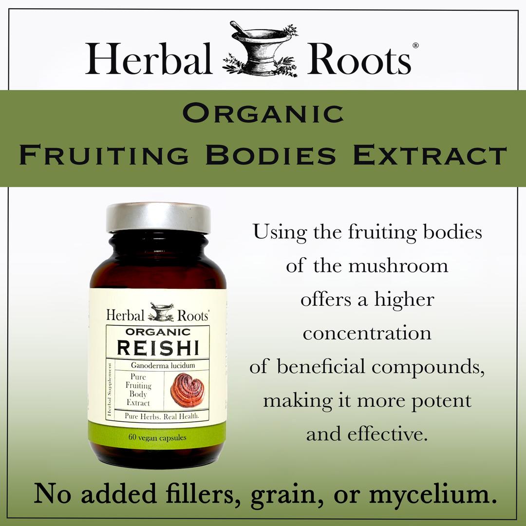 "Herbal Roots Organic Fruiting Bodies Extract" title at top. Bottle of Organic Reishi Mushrooms on left with text on right that says "Using the fruiting bodies of the mushroom offers a higher concentration of beneficial compounds, making it more potent and effective. No added fillers, grain or mycelium."