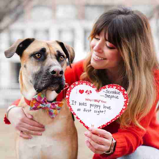 Free Downloadable Valentine Card For Your Dog! | Dog Valentine's Day Cards