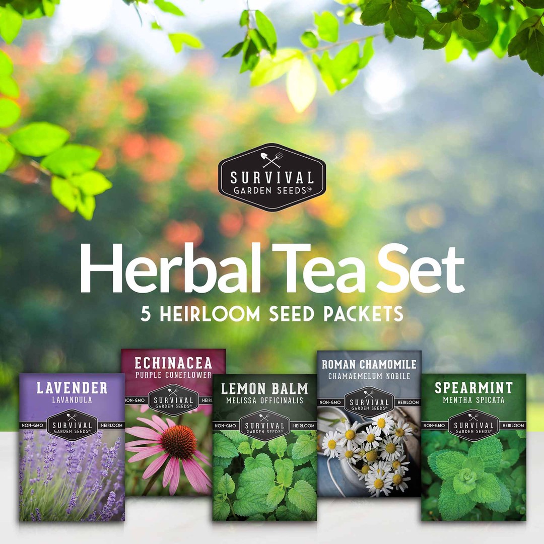 Herbal Tea Seed Collection