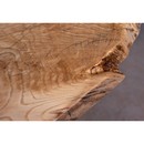 Live Edge Ash Wood Details on Sofa table