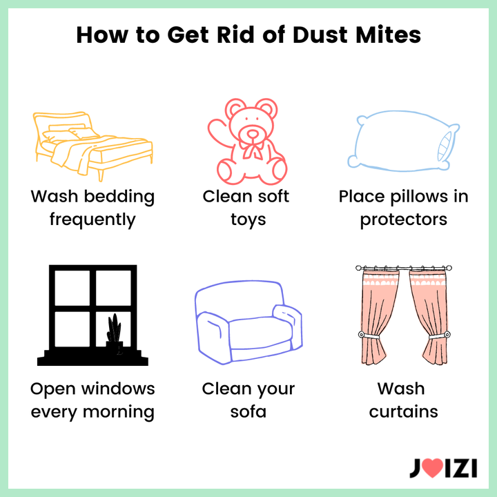 How To Get Rid of Dust Mites 🧽 JOIZI