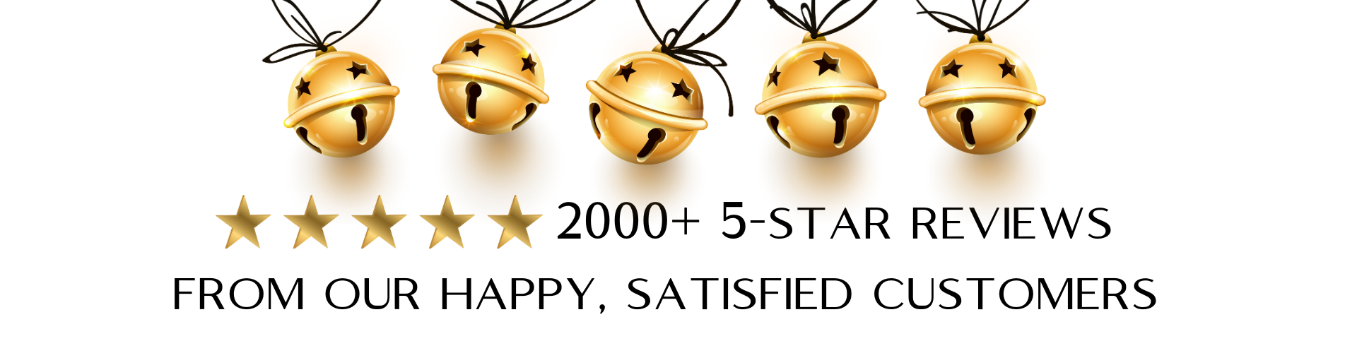 2000+ 5 Star Reviews