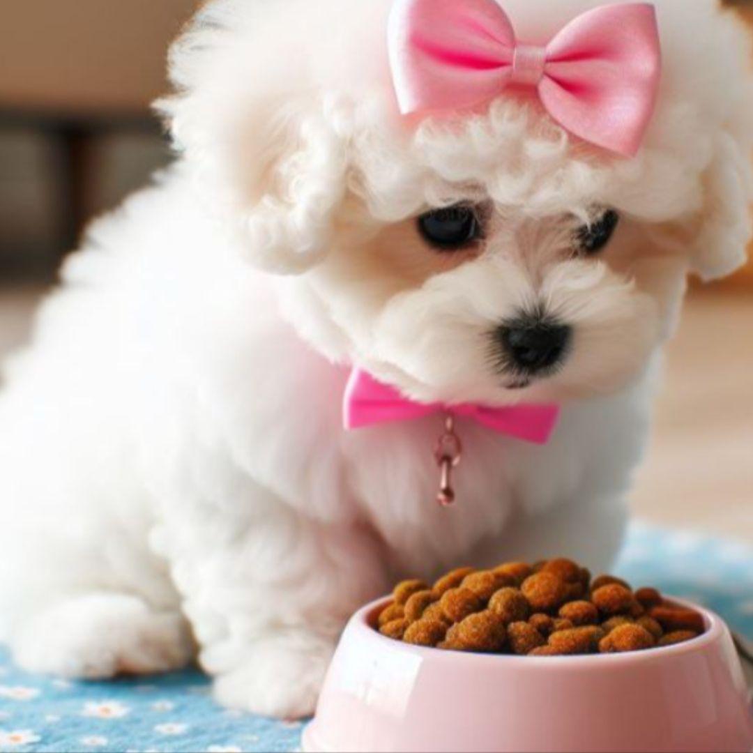 Cute puppy with bowl full of food on floor at home