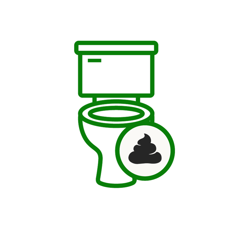 Toilet icon indicating regular, comfortable bowel movements.