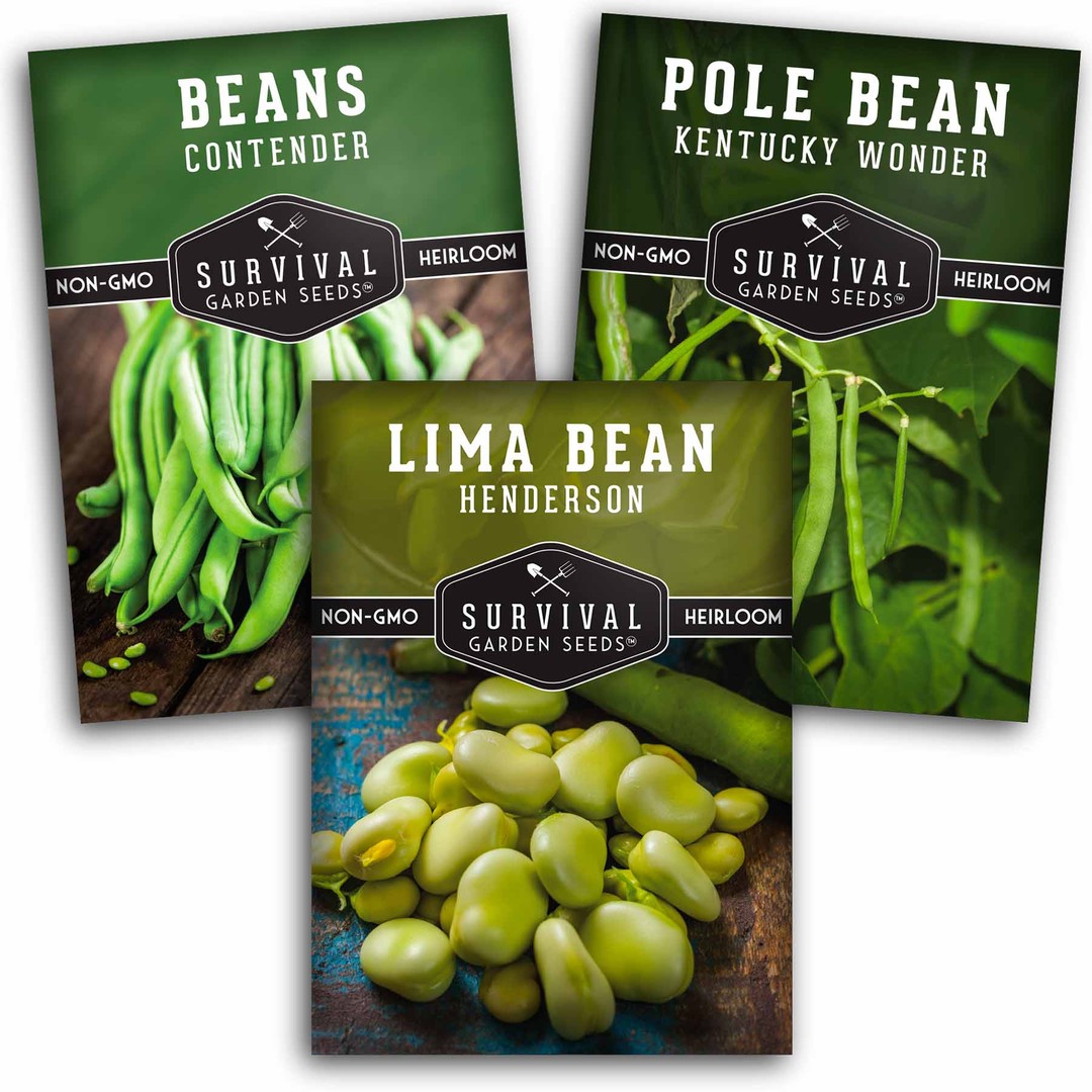 3 packets of heirloom bean seeds