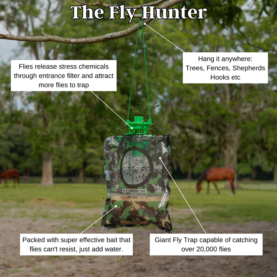 The Ranch Fly Trap – The Ranch Pest Control