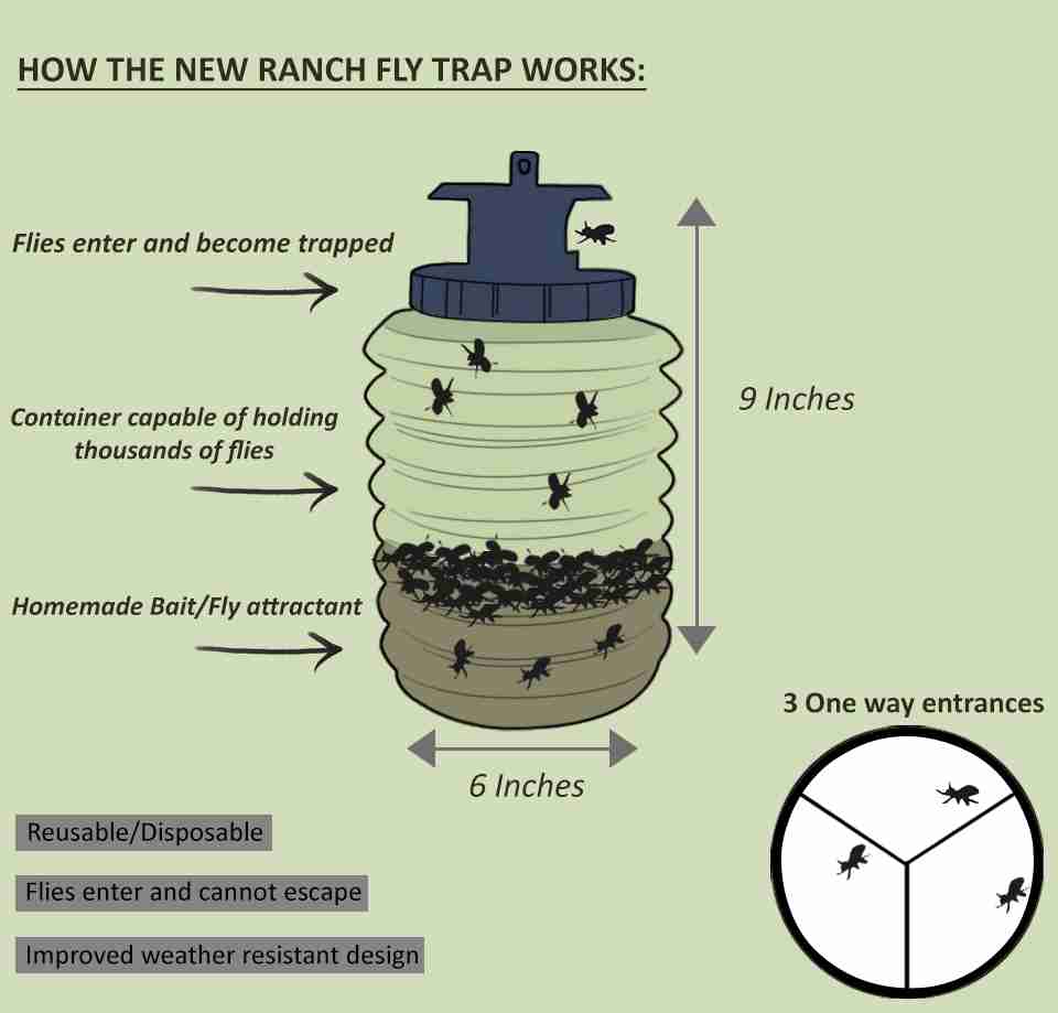 The Ranch Fly Trap The best solution for reducing flies in your area