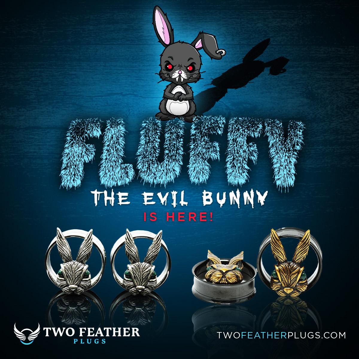 stone plugs and gauges