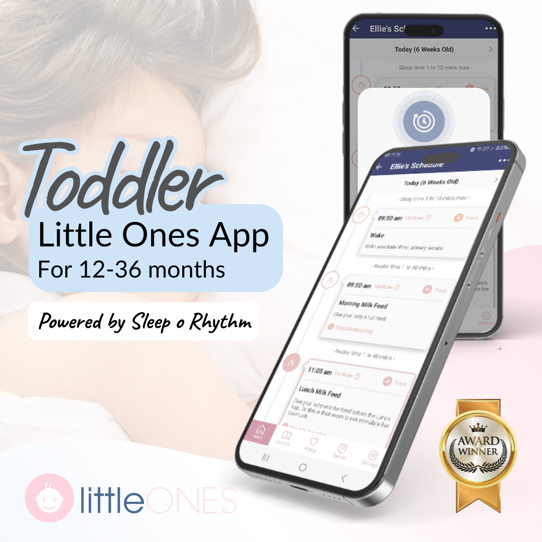 Toddler Sleep Program