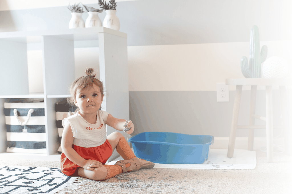 How to Keep the Baby Out of the Litter Box - Mobile banner