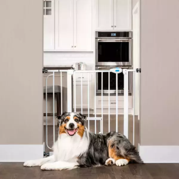 Carlson Pet Extra Wide Walk Through Pet Gate