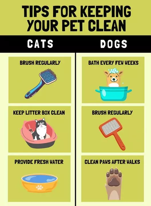 tips for keeping your pet clean