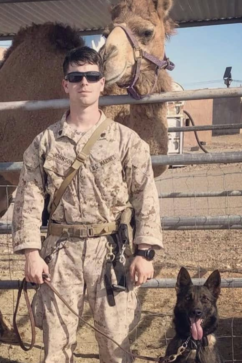 mwd ziva