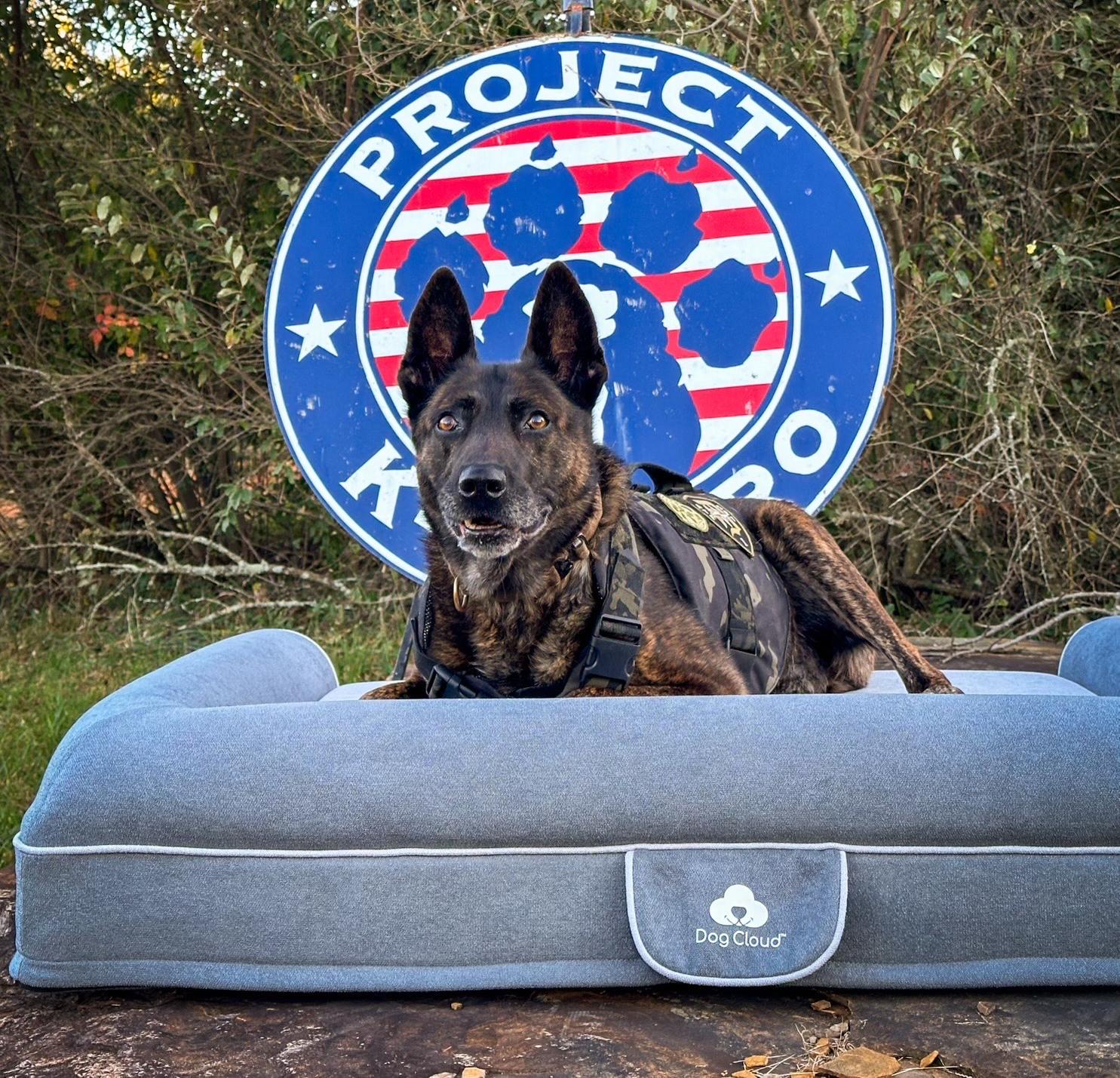 red barn 10,000 superzoo