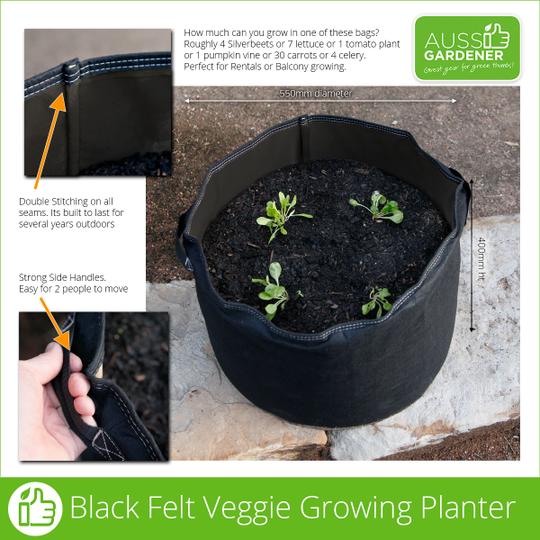 Black Geofelt Planter Bags Why these are so good for growing veggies