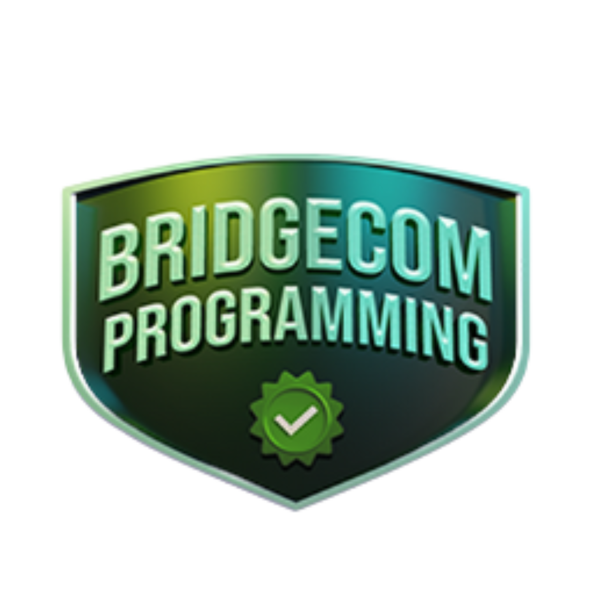 +BONUS 2: USA & International ULTRA Codeplug ($99.99 Value)