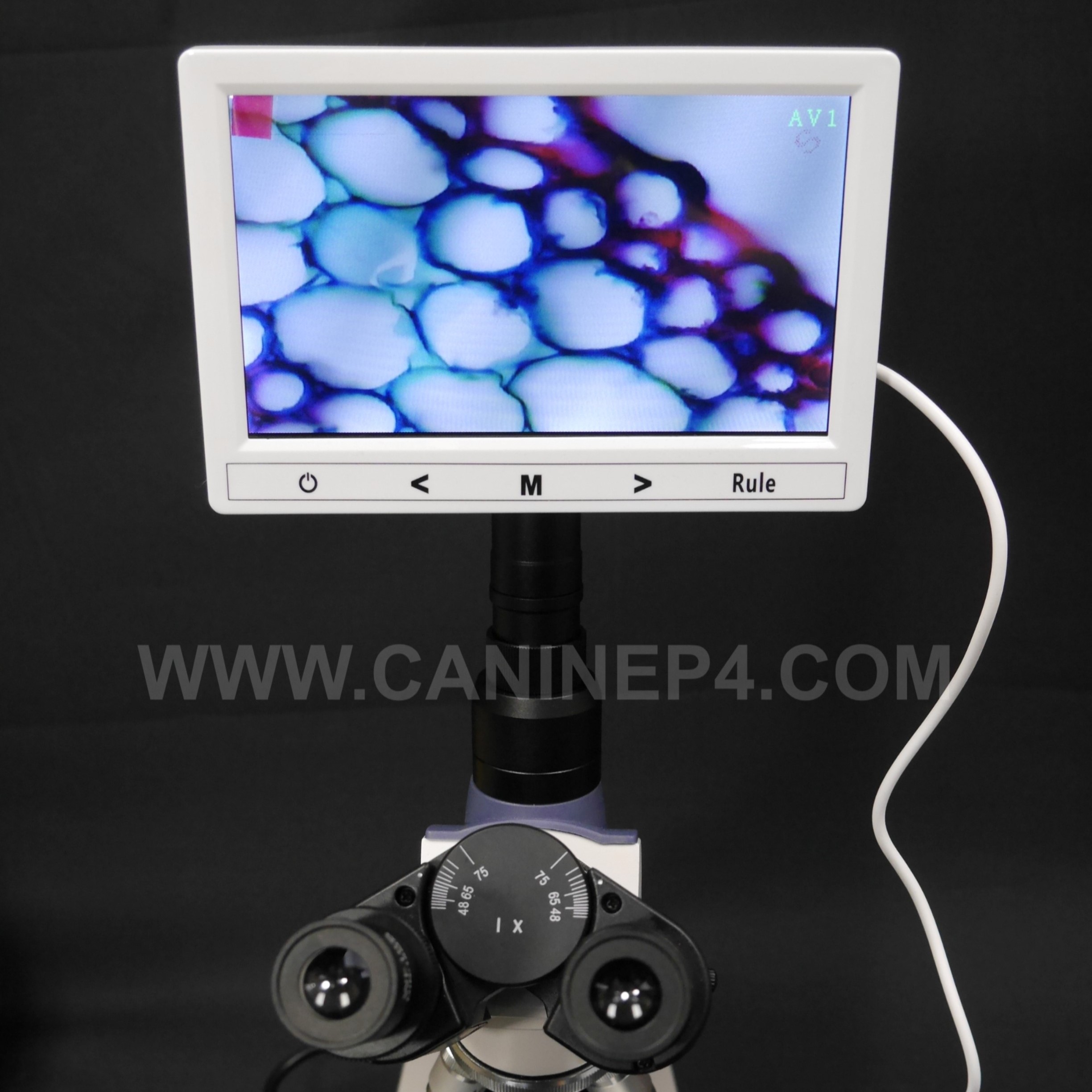 canine-semen-analysis-microscope