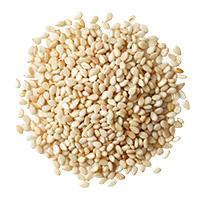 Sesamum Indicum (Sesame) Seed Oil